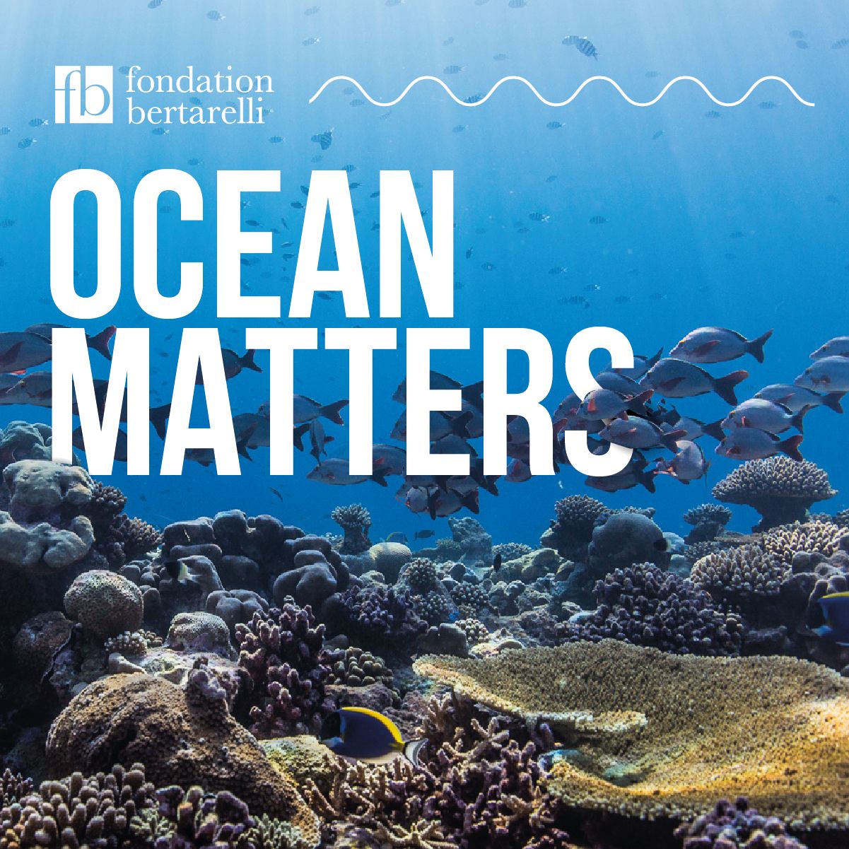 Ocean Matters Podcast
