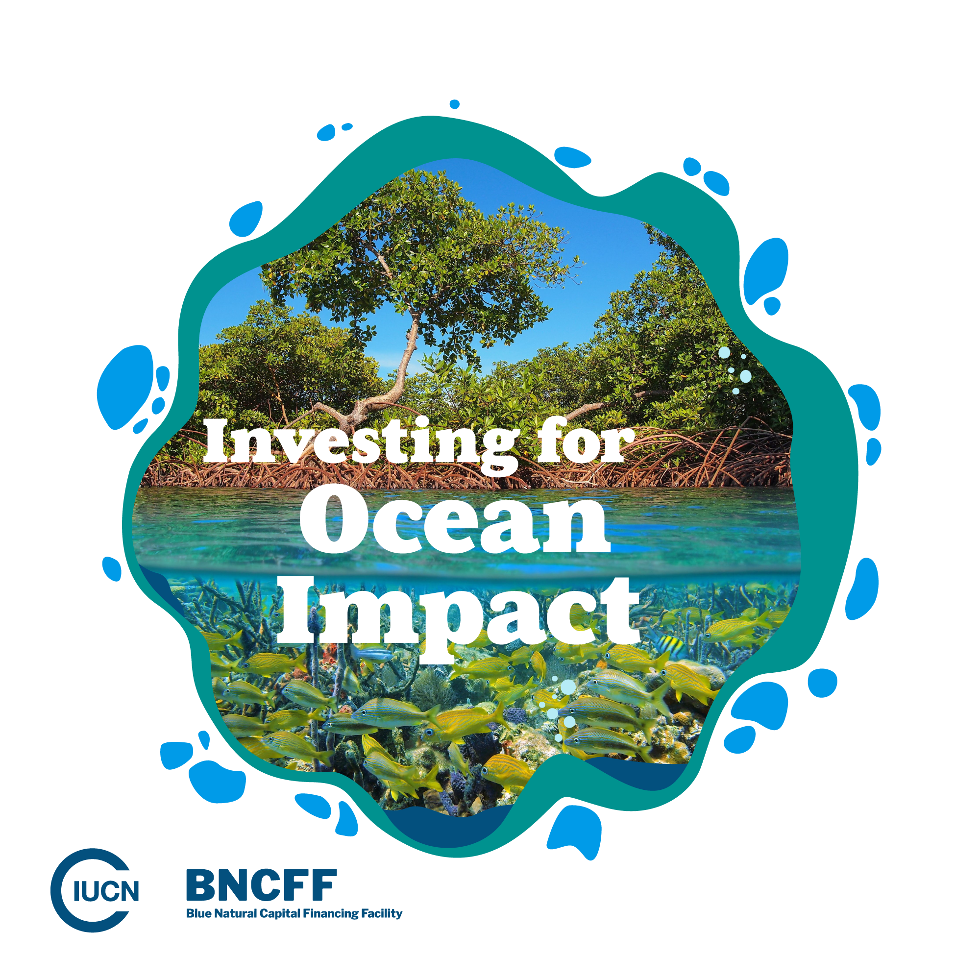Investing for Ocean Impact Podcast