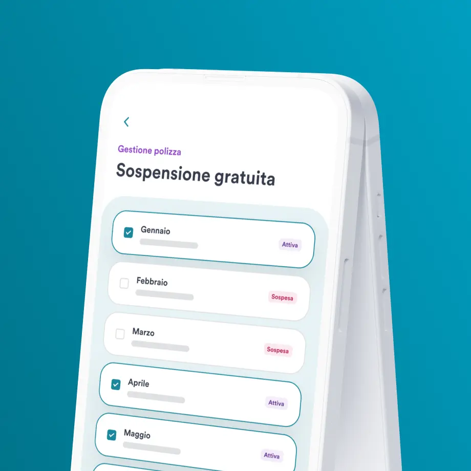 Sospensione assicurazione auto - Illustrazione