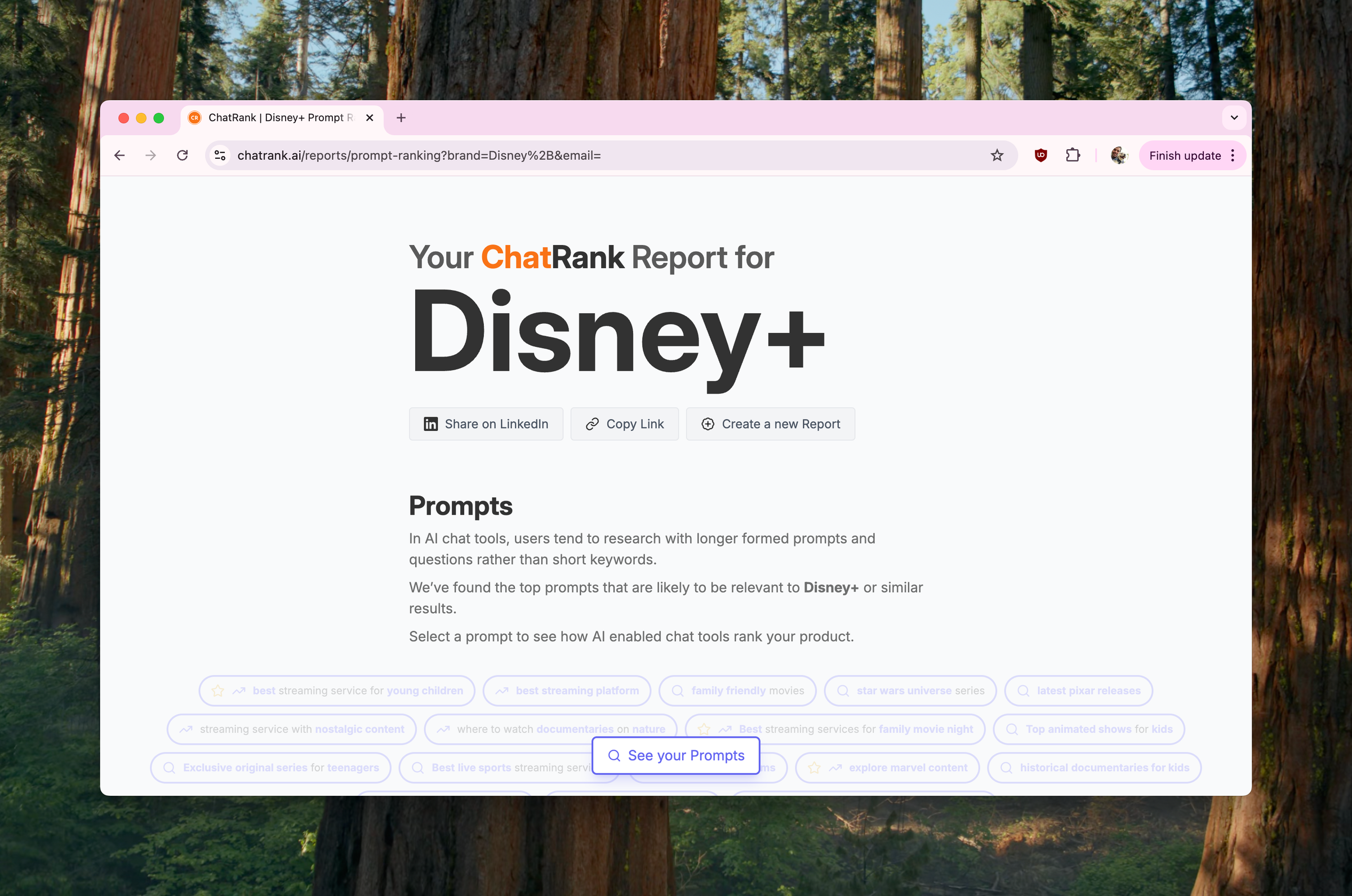 Announcing ChatRank