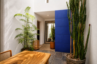 Heritage Townhouse in Roma Norte — view 2