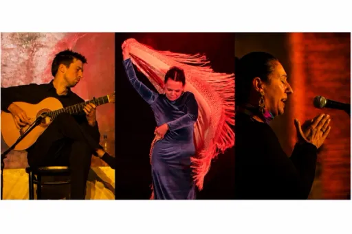 Title image for an event called '$Flamenco Trio live – Leidenschaft, Emotion und pure Energie! Mit Tanz von Michèle Primo, Gesang von Carmen Fernández und David Albert an der Gitarre.'