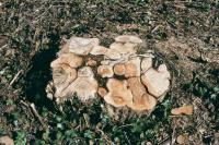 Maison BR | Joséphine Larere Architecte