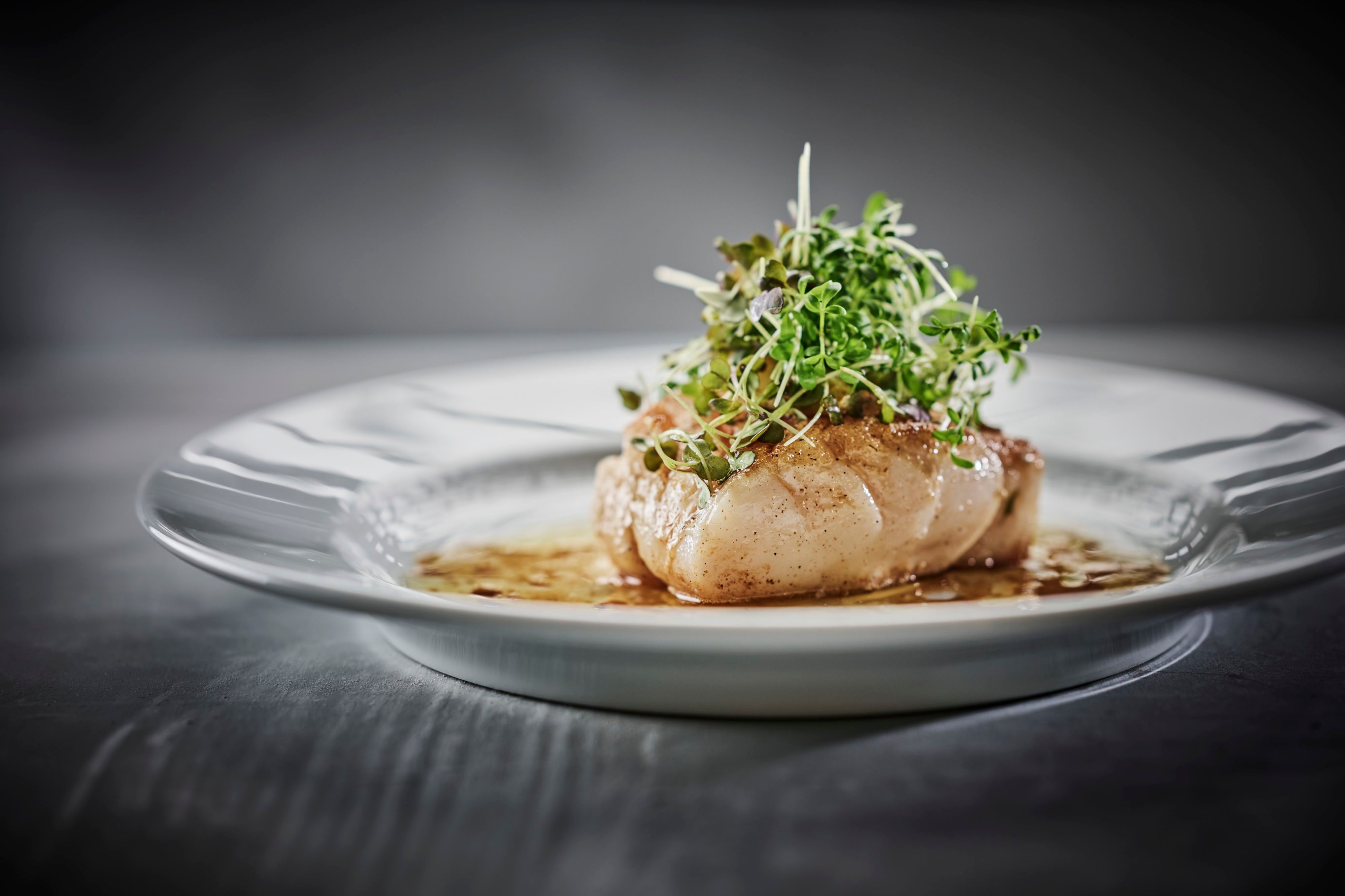Pannestekte norske kamskjell servert med friske mikrogrønnsaker og en lett saus, som fremhever kortreist kystmat om bord på Havila Voyages.