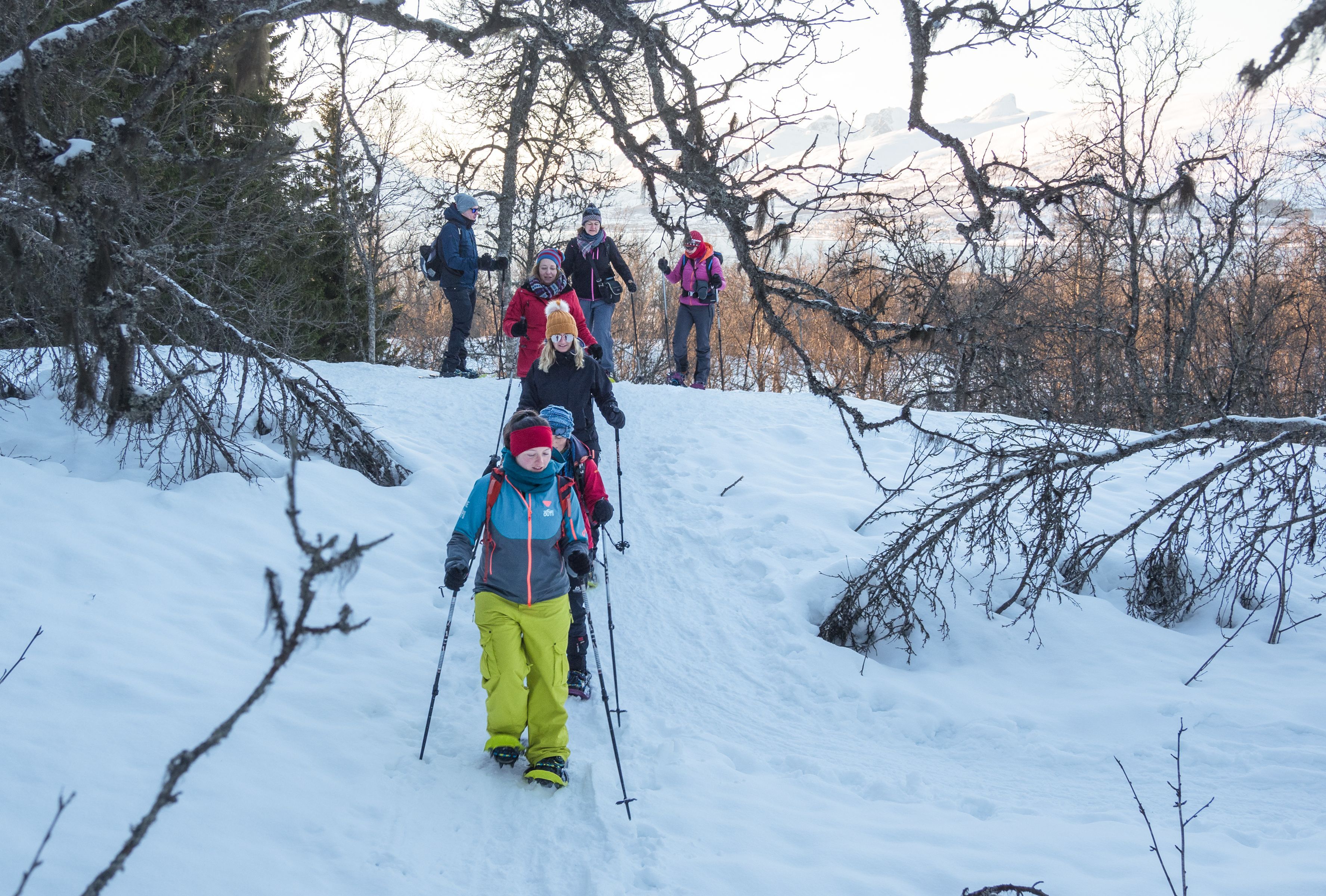 Geführte Gruppe, die auf Schneeschuhen einen verschneiten Waldweg während einer arktischen Winterwanderung nahe Tromsø hinabsteigt, umgeben von ruhigen Wäldern und einer beeindruckenden Berglandschaft.