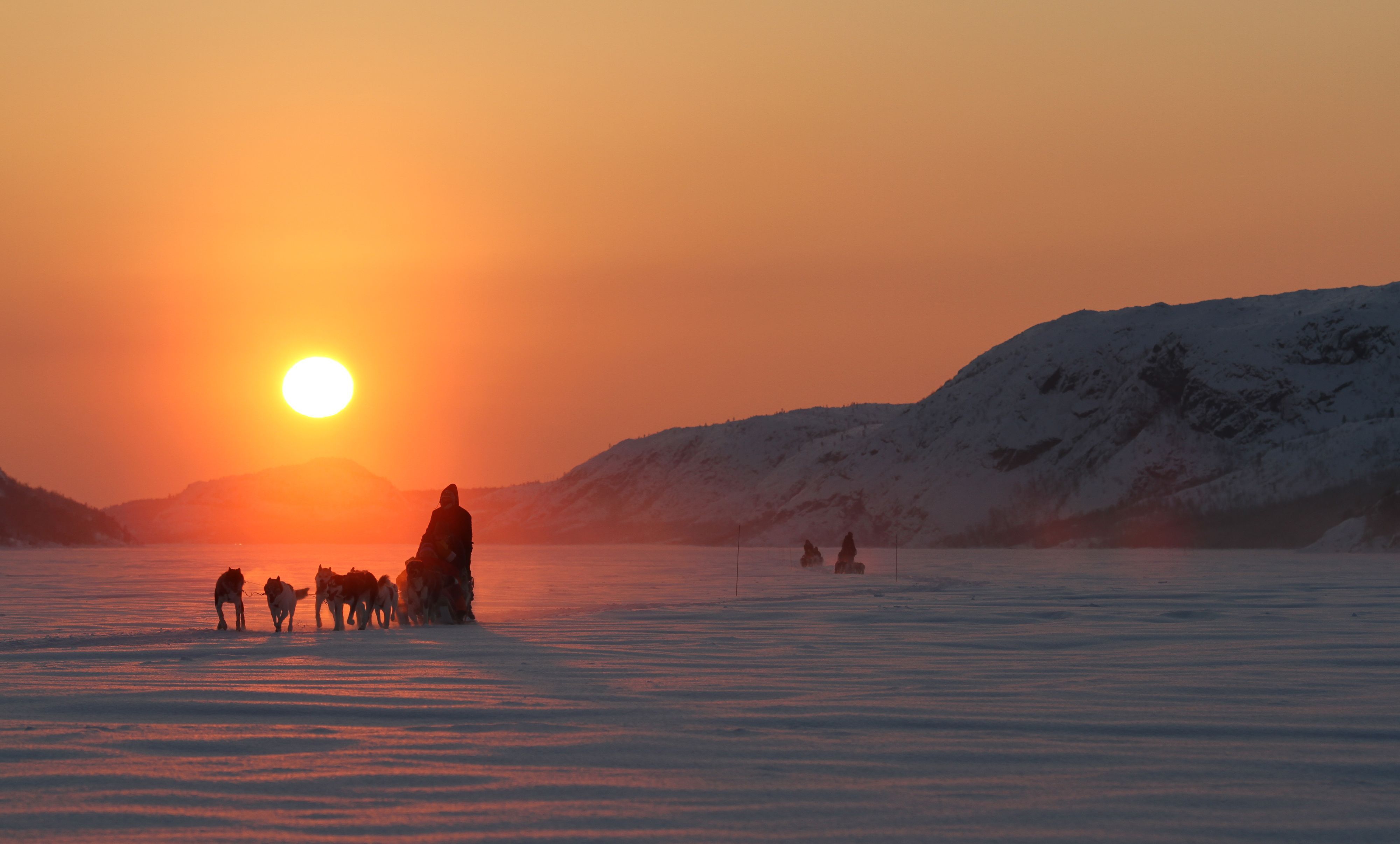Silhuett av ett spann med huskys som korsar ett snötäckt landskap i solnedgången under en hundslädtur i Kirkenes, Norge