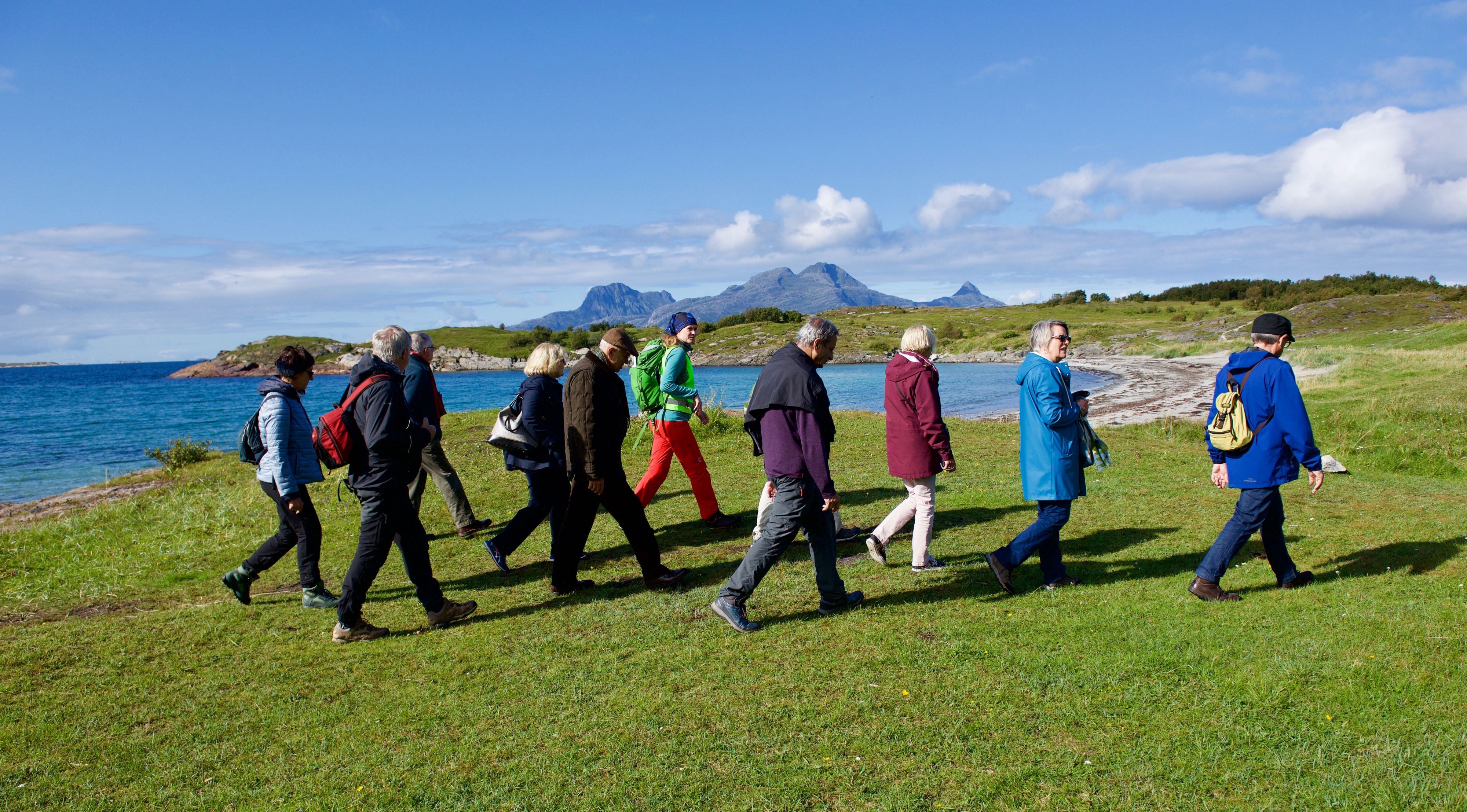 Guidet gruppetur til fots langs en grønn kysteng med havet og fjellene på en solrik sommerdag i arktiske Norge