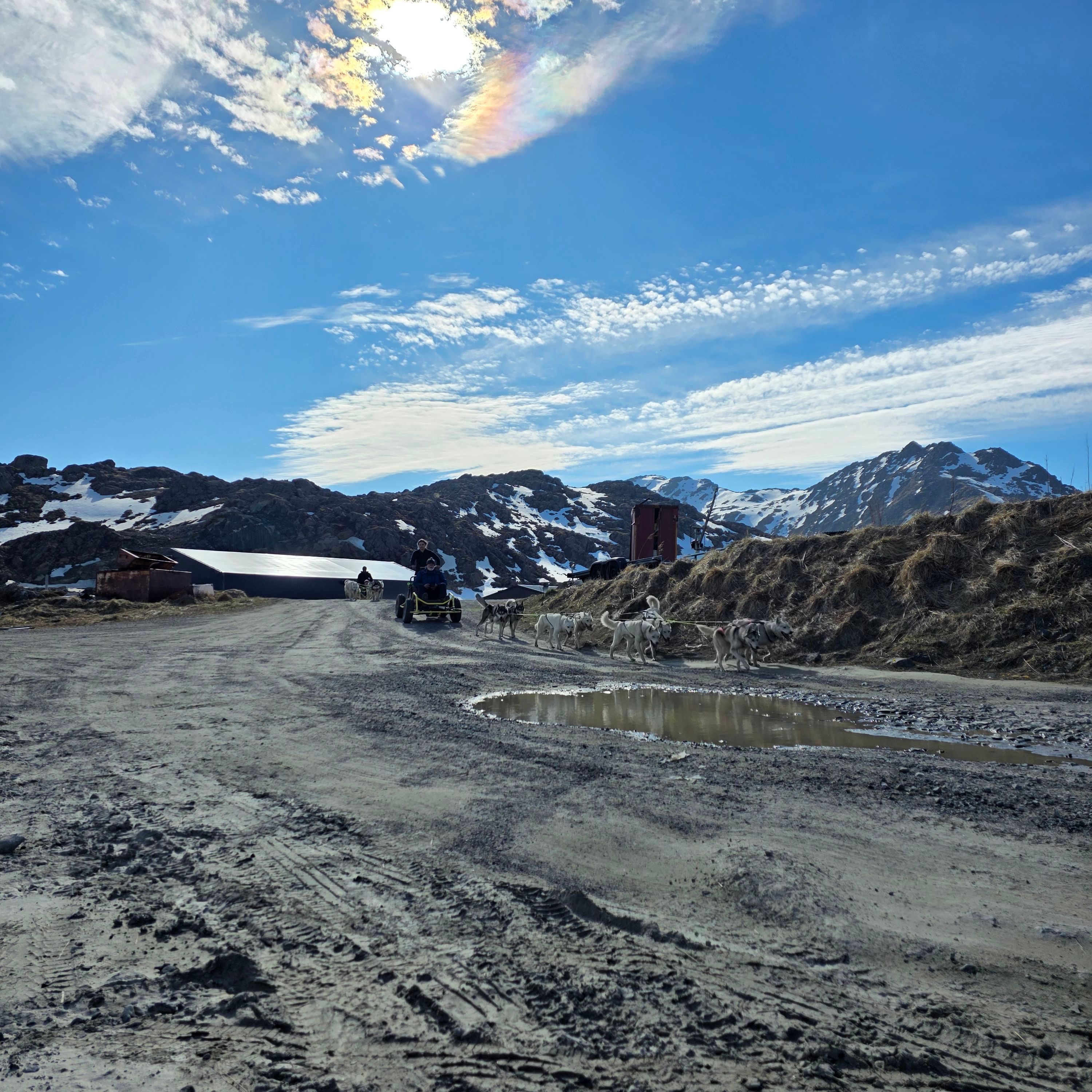 A team of huskies pulls a wheeled dogsled along a gravel road through an Arctic mountain landscape, with patches of snow, rugged peaks, and a bright blue sky overhead.