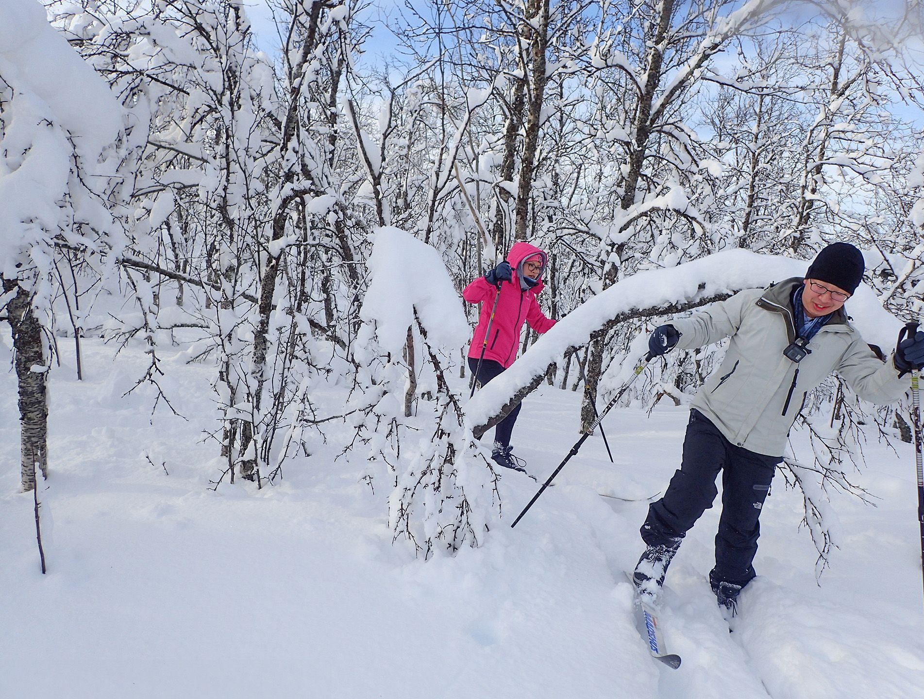 Gjester som går på ski gjennom en snødekt skogsløype nær Tromsø under et guidet langrennstur, omgitt av trær dekket av nysnø.