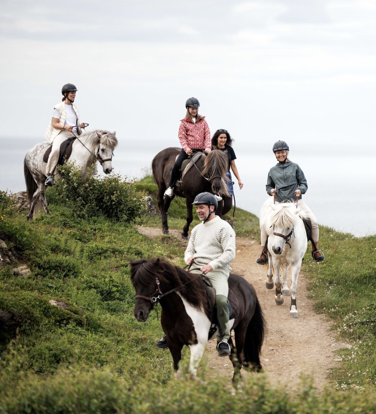 Guests riding horses in Lofoten excursion