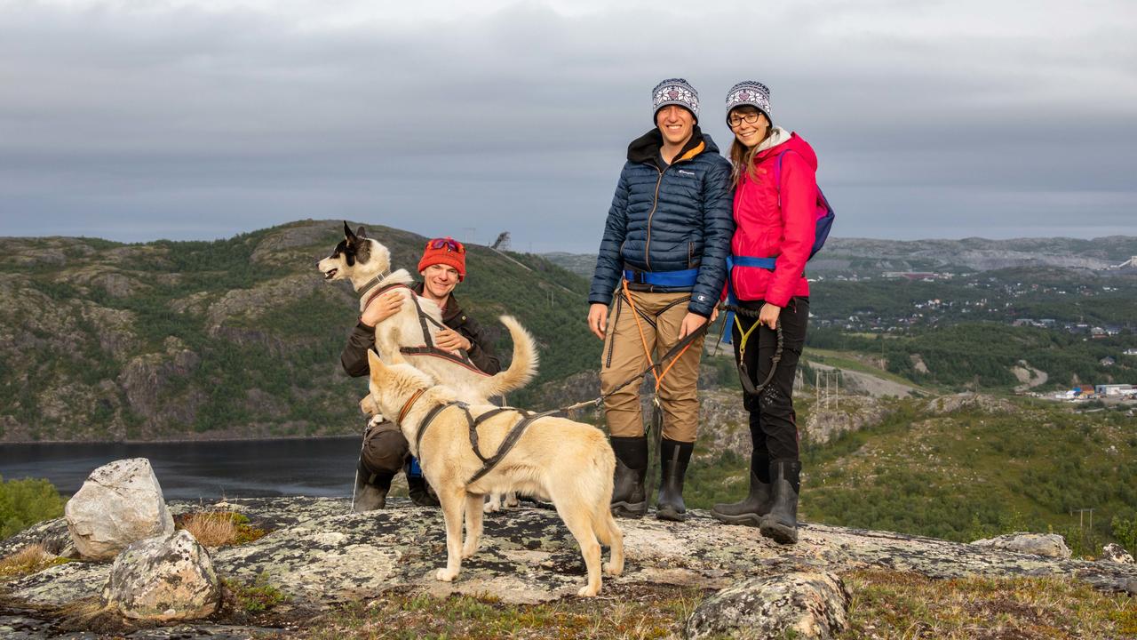 Gäster med huskies som njuter av panoramautsikt under en guidad sommarvandring nära Snowhotel Kirkenes i Norge.