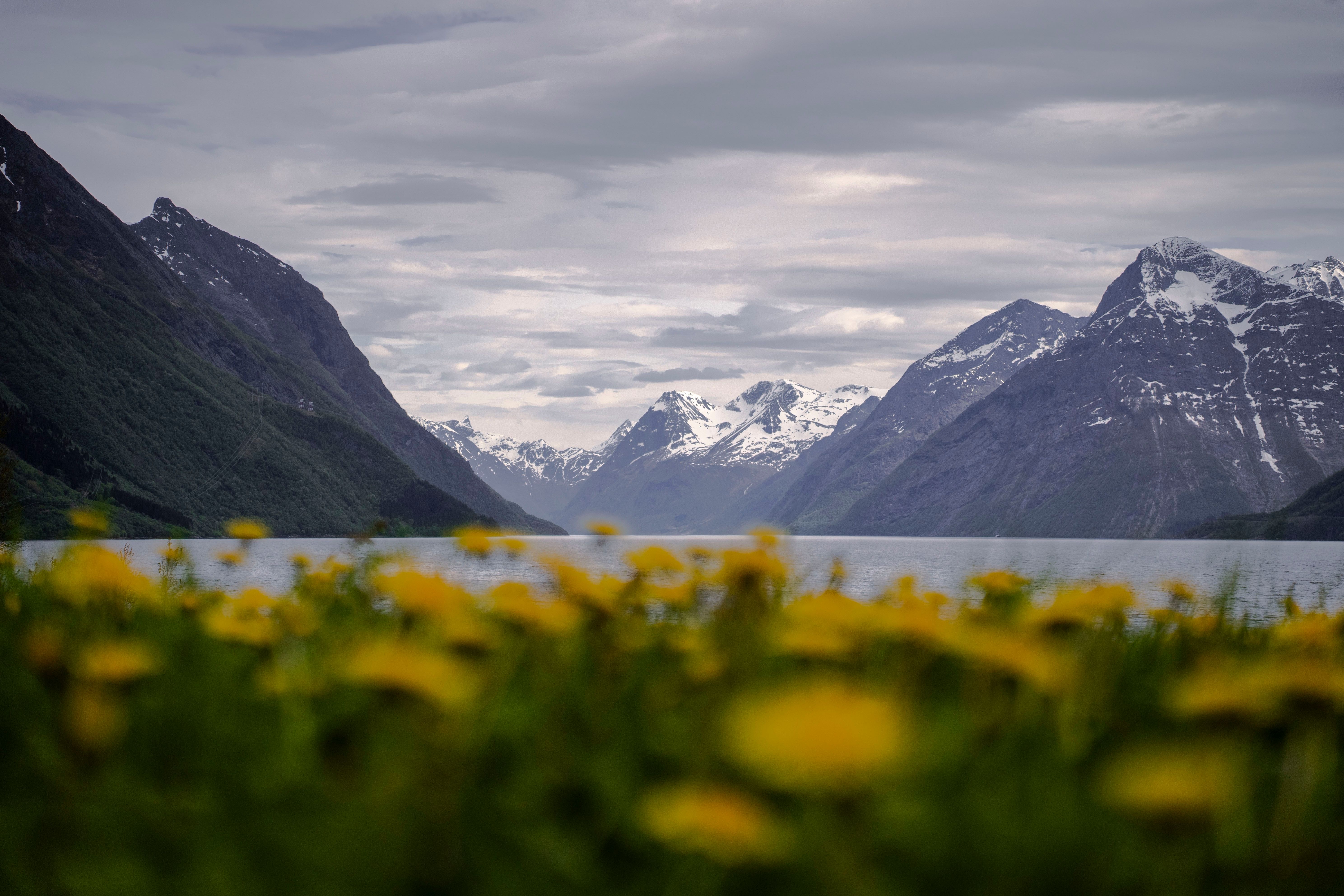Hjørundfjorden om høsten