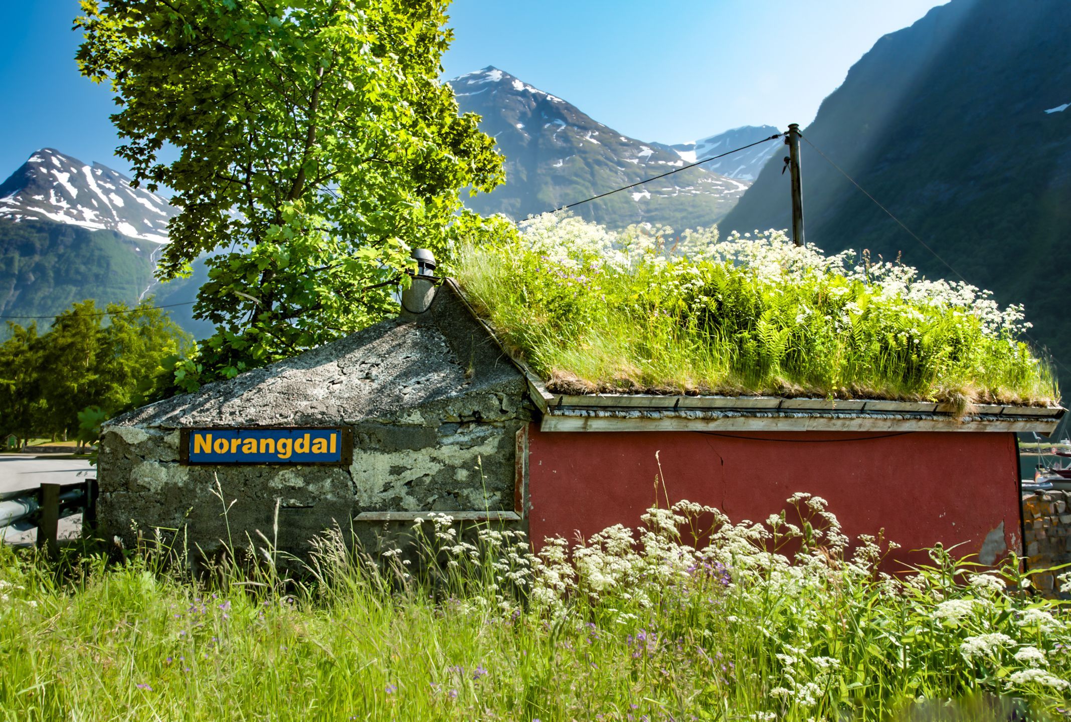 Old turf-roof house with Norangdal sign and wildflowers below snowy mountains, Norway