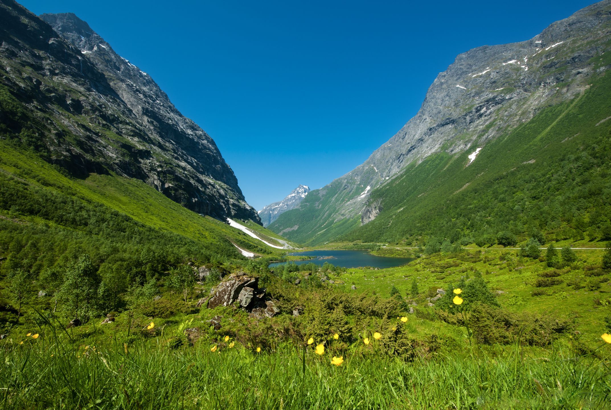 Lush green valley with a small lake and yellow wildflowers between steep mountains in rural Norway