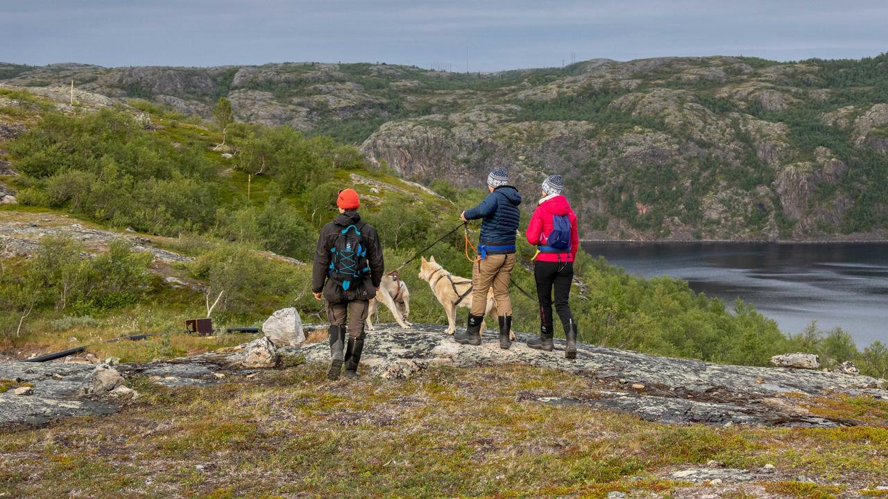 Gäste wandern mit Huskys über arktisches Gelände mit Blick auf einen Fjord in der Nähe des Snowhotel Kirkenes in Norwegen.
