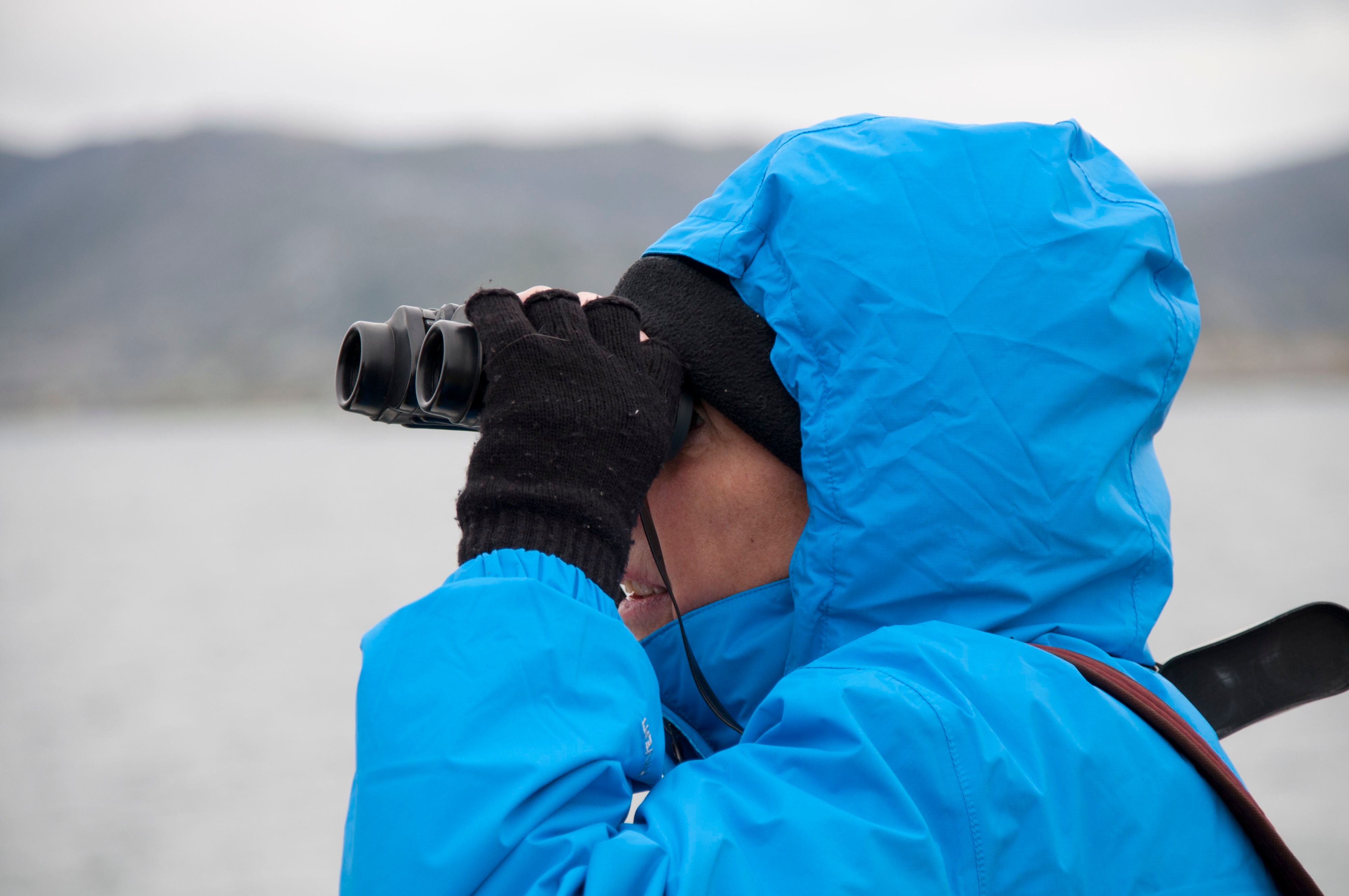 Gjester som titter på fugler med kikkert på en båttur ved Honningsvåg, Norge