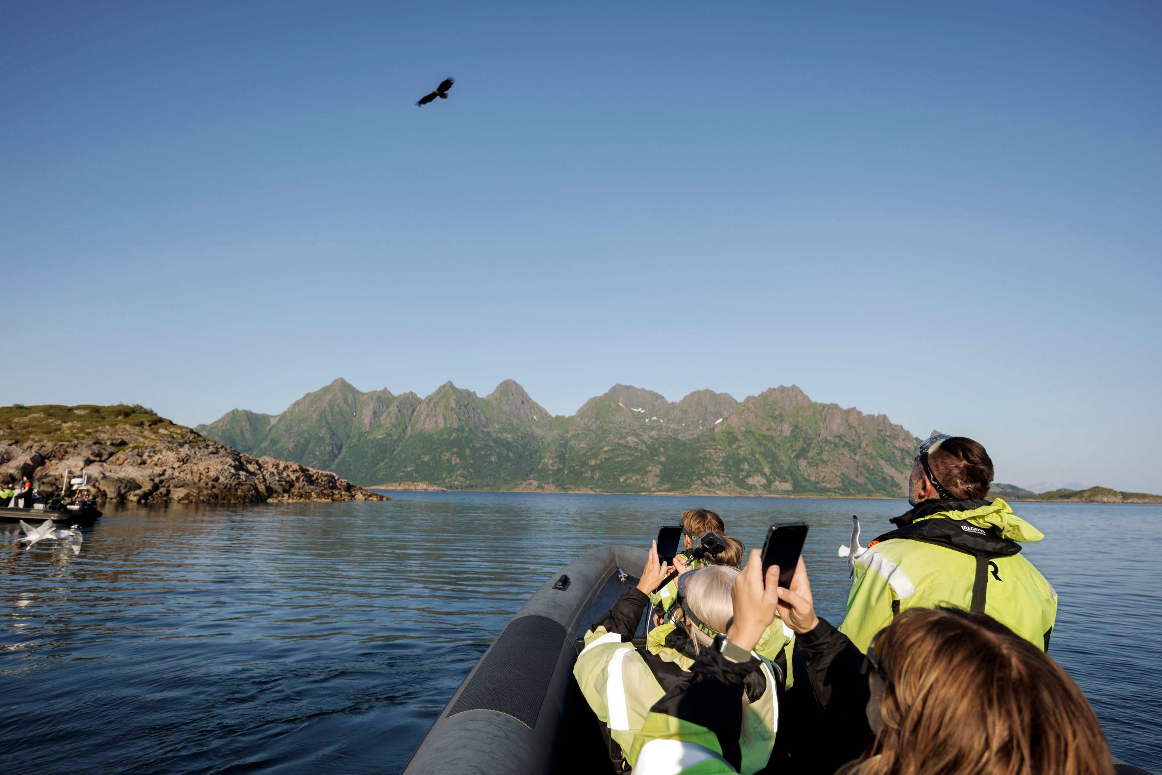 Excursion participants taking photo of a sea eagle from the RIB boat