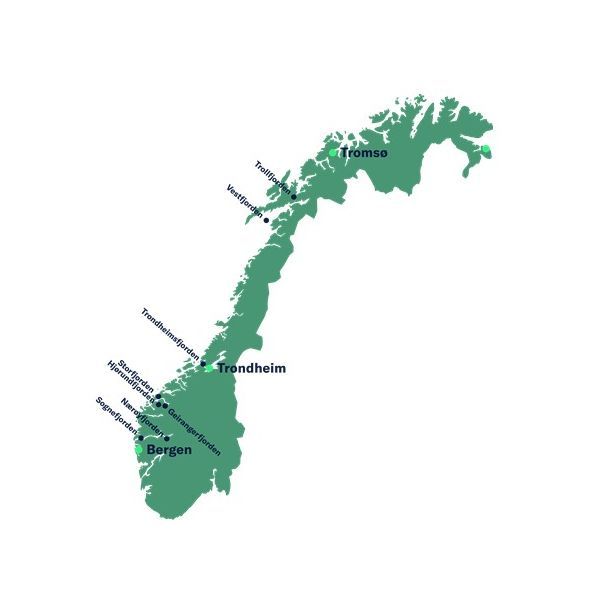 Historisk svart-hvitt-fotografi av passasjerer som har samlet seg om bord på et tidlig skip fra Hurtigruten i en kysthavn