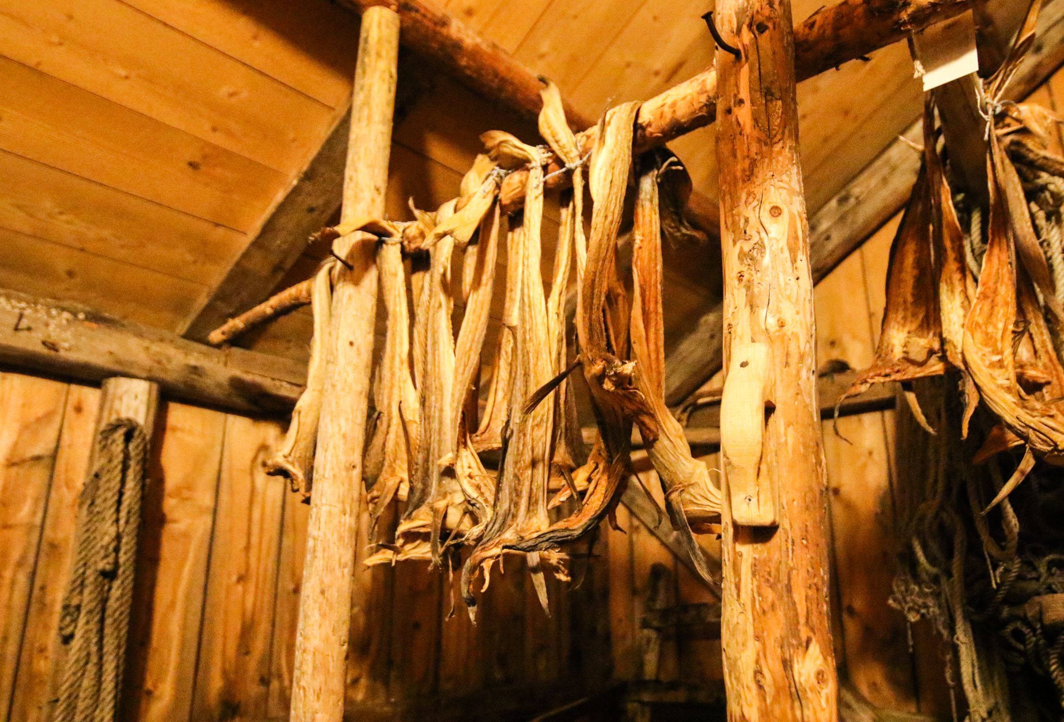 Geschichtstour in Storvågan, Lofoten, Norwegen