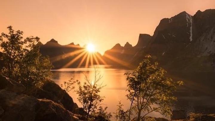 Midnight sun over a tranquil fjord in the Lofoten Islands, Norway, framed by rugged mountains, rocky cliffs, and golden Arctic light
