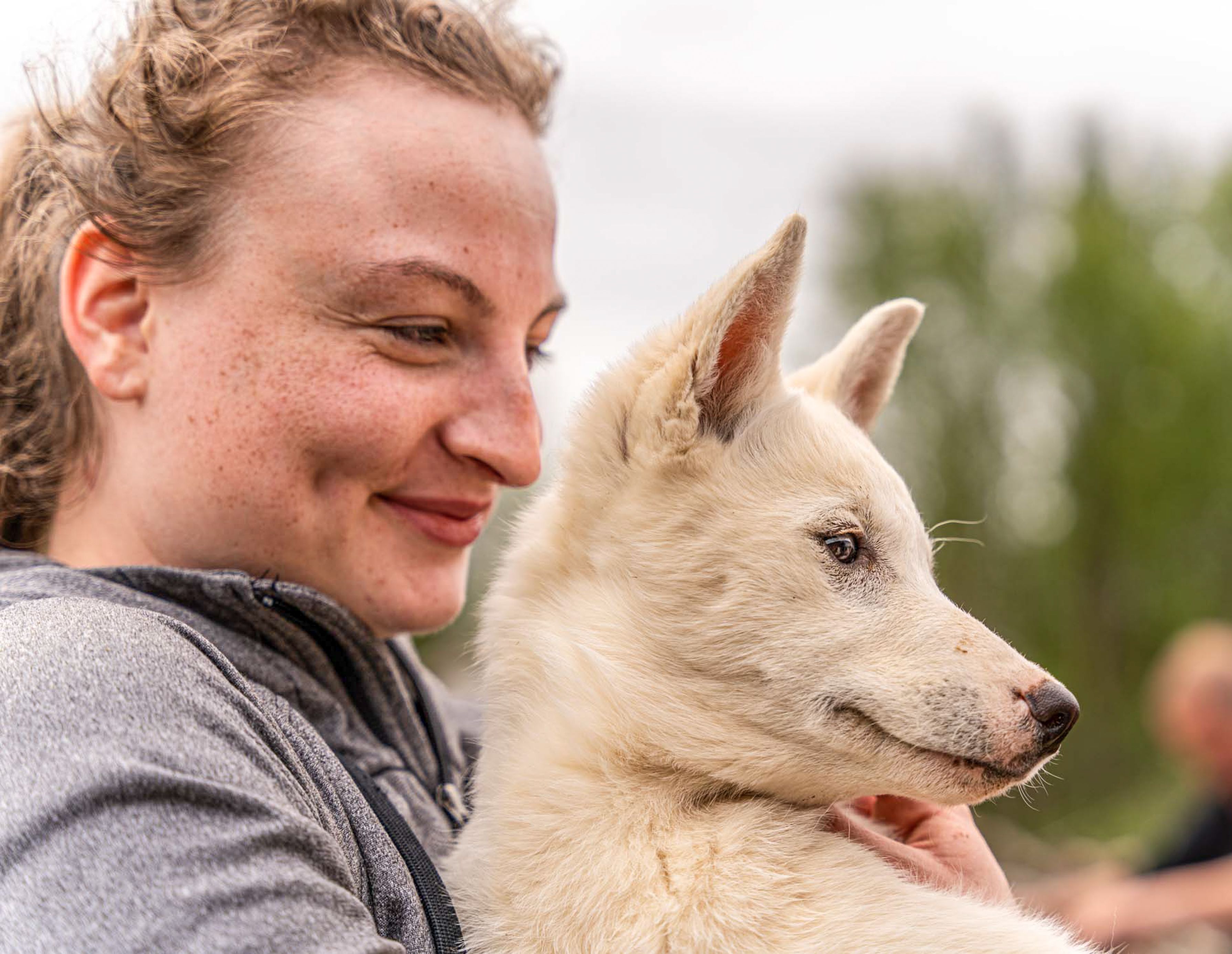 Två personer som vandrar i bergen med huskies