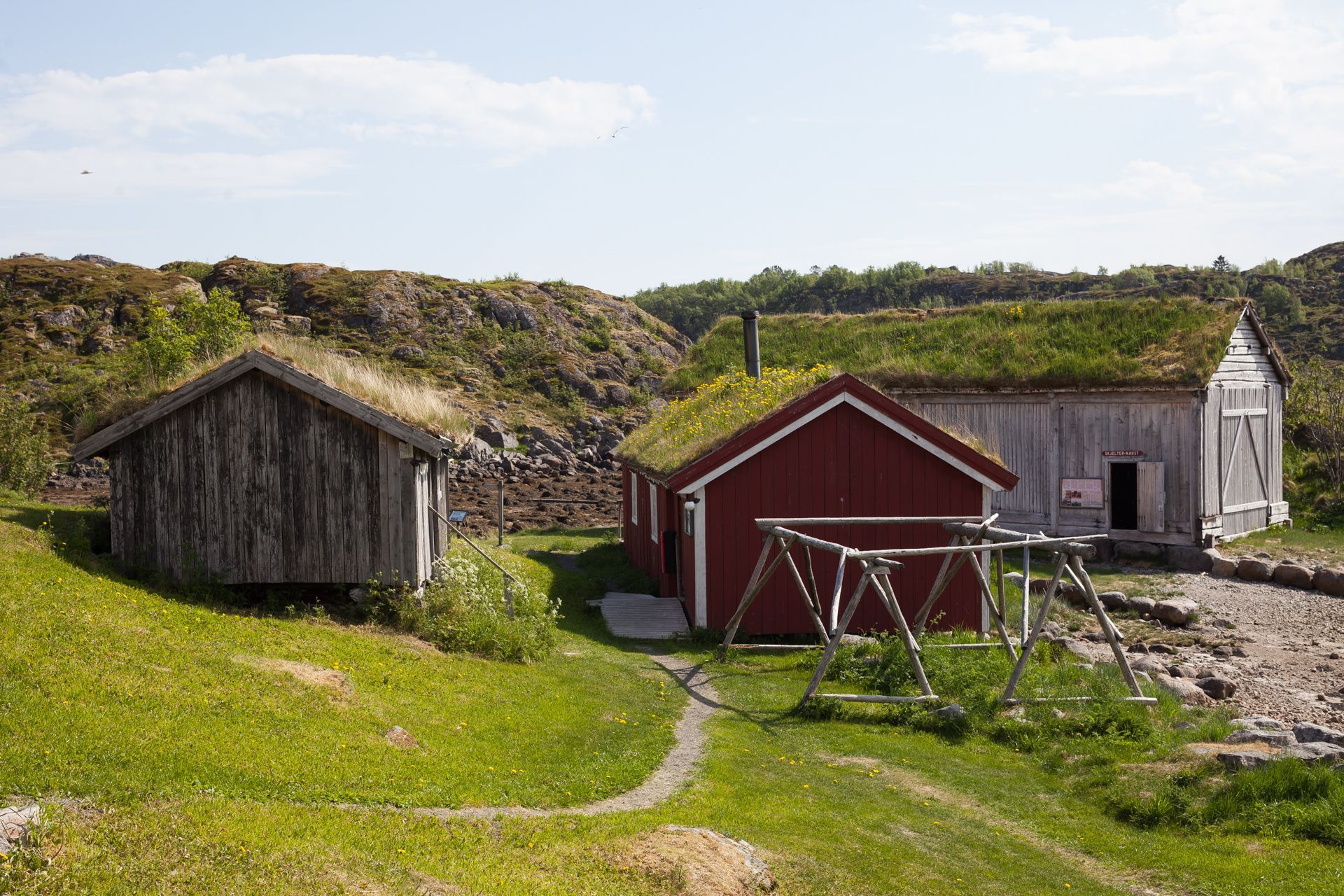 Traditional wooden boathouses with grass turf roofs in a coastal heritage village in Lofoten, Norway