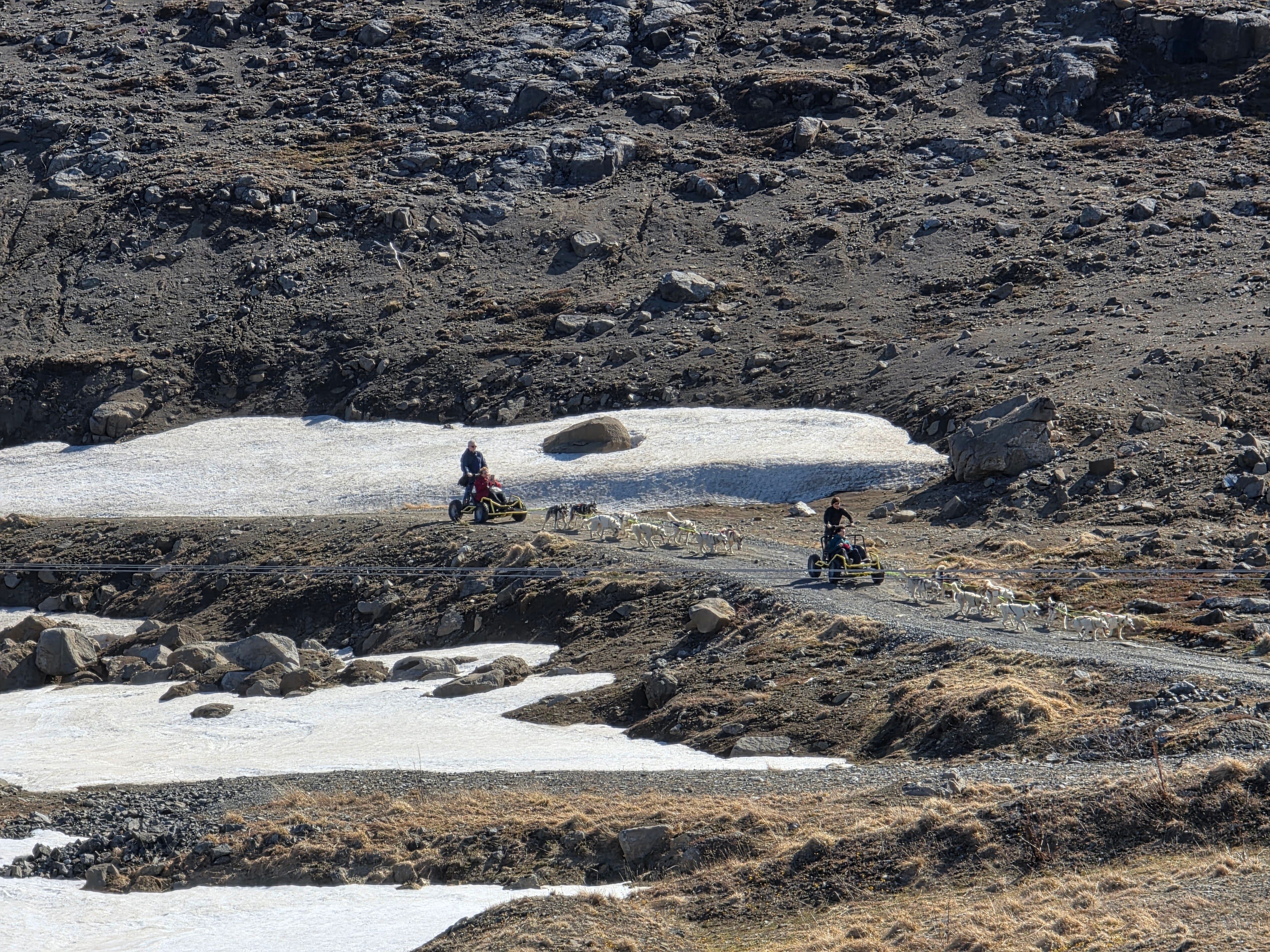 Two teams of huskies pull wheeled dogsleds along a rugged Arctic trail, passing patches of lingering snow in a rocky tundra landscape under clear skies.