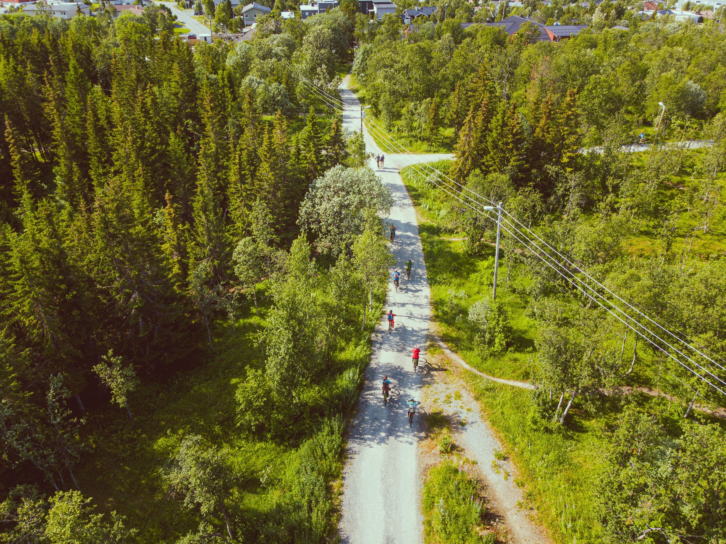 Gjester som sykler gjennom naturskjønne skogsstier på en guidet elsykkeltur i Tromsø.
