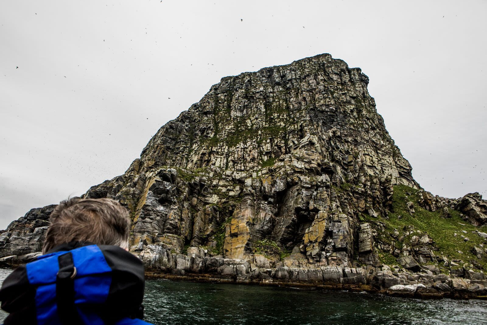 Fuglefjellet Gjesværstappan, en av Norges største fuglekolonier