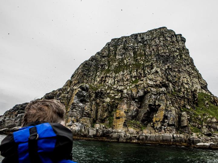 Fuglefjellet Gjesværstappan, en av Norges største fuglekolonier