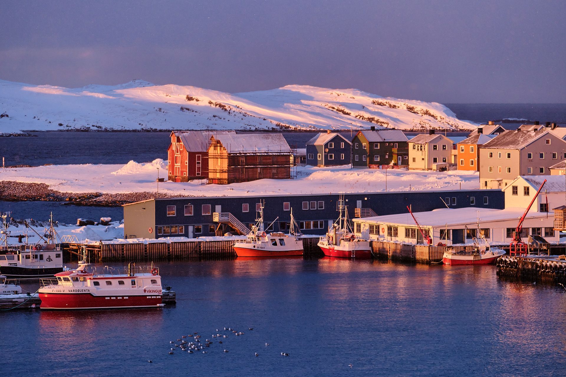 Snow-covered harbour in Vardø, Norway, with fishing boats and colourful waterfront houses.
