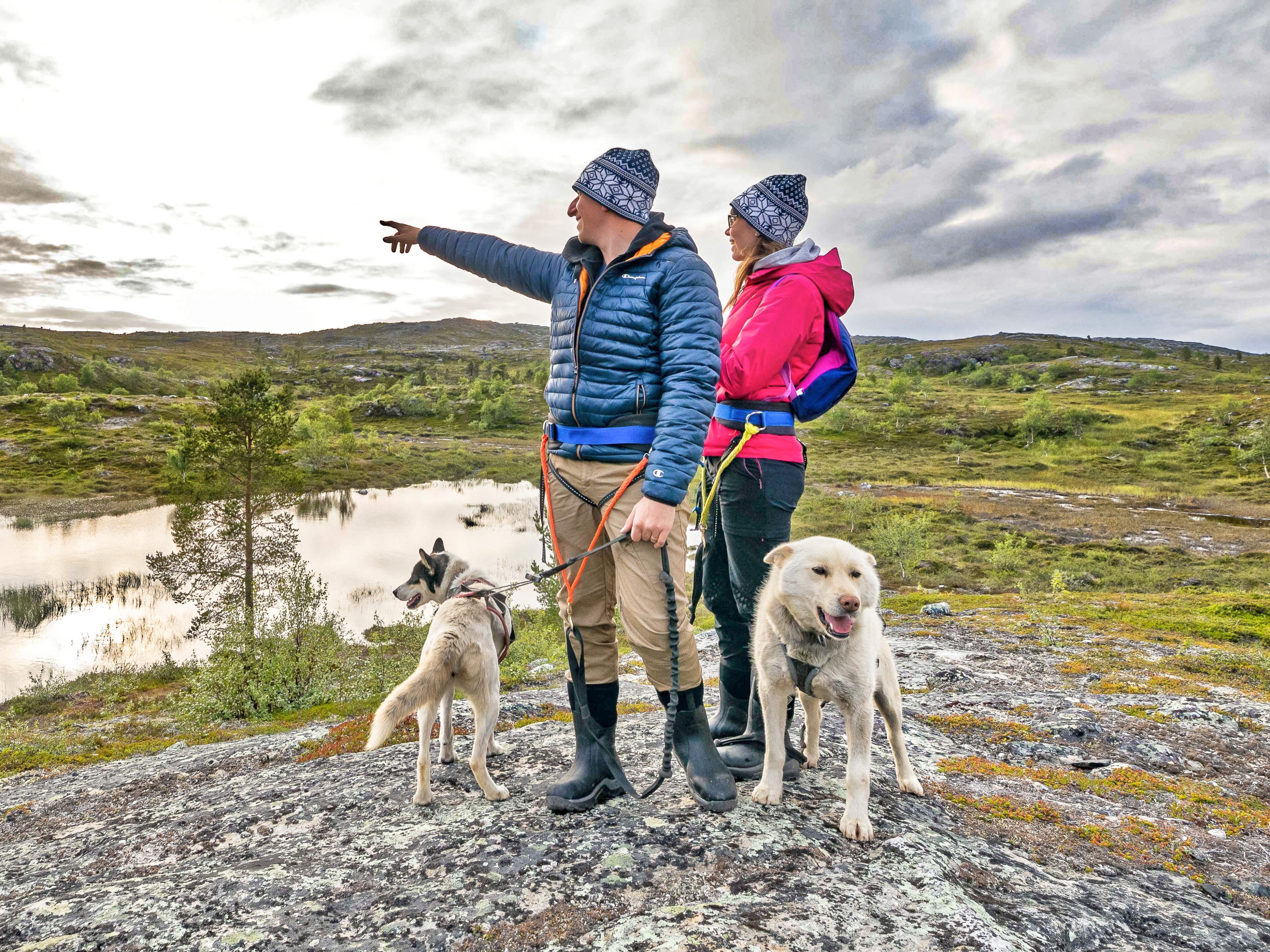 Gäster som njuter av en naturskön vandring med huskies med utsikt över den arktiska tundran nära Snowhotel Kirkenes i Norge.