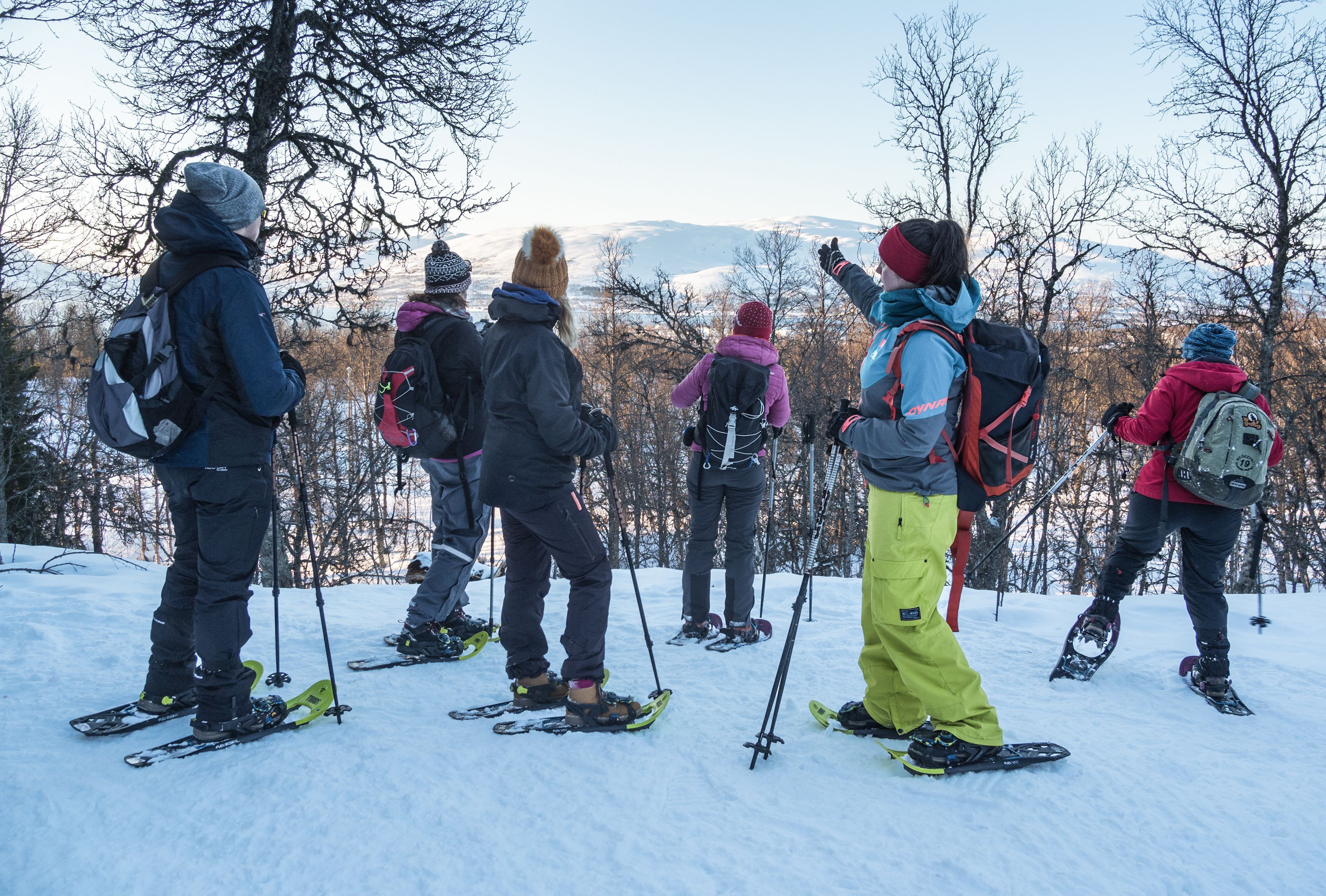 Geführte Gruppe, die bei einer Schneeschuhwanderung nahe Tromsø an einem Aussichtspunkt pausiert und auf schneebedeckte Berge und winterliche Landschaften blickt.