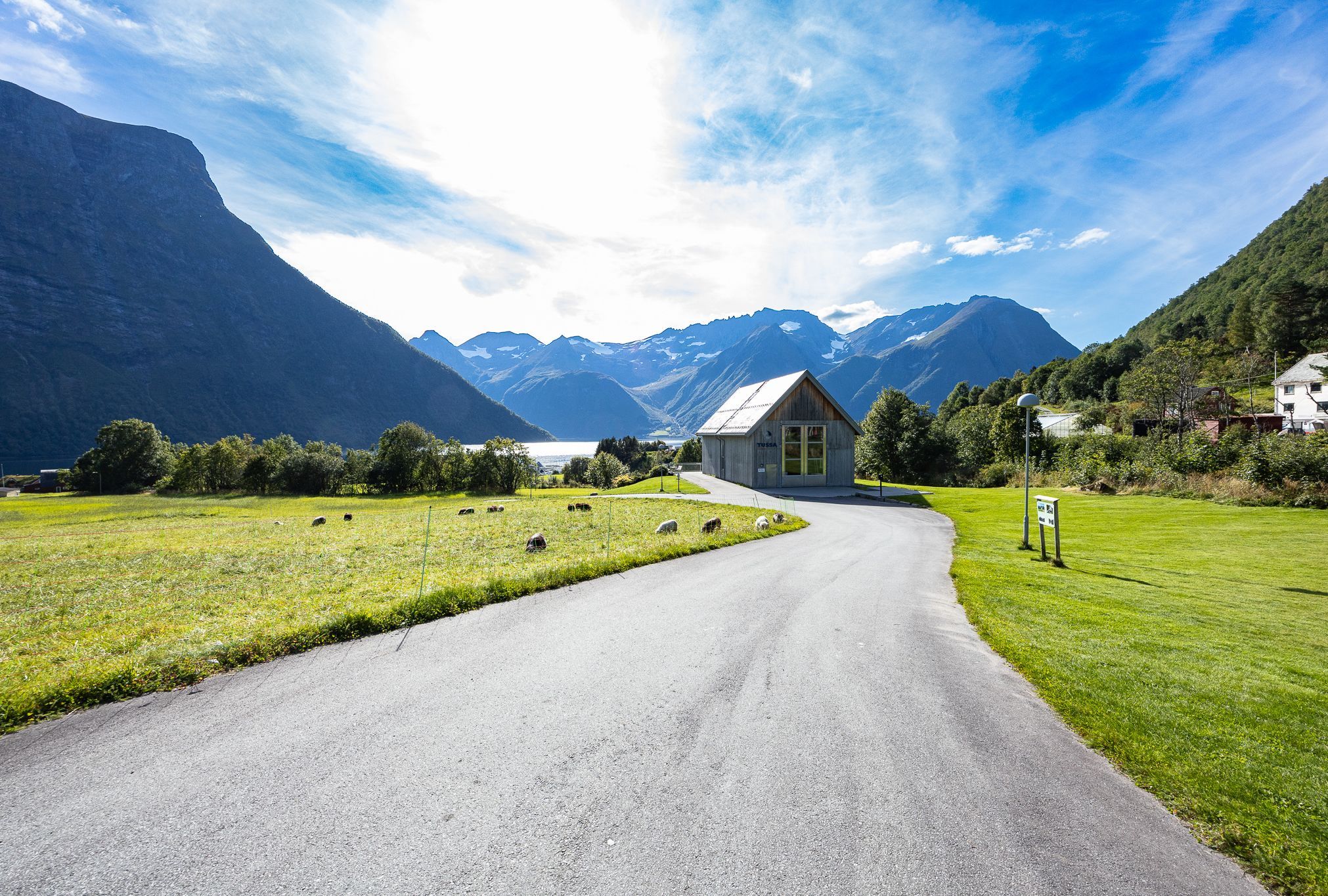 Country road past a wooden building and grazing sheep with fjord and mountains in rural Norway