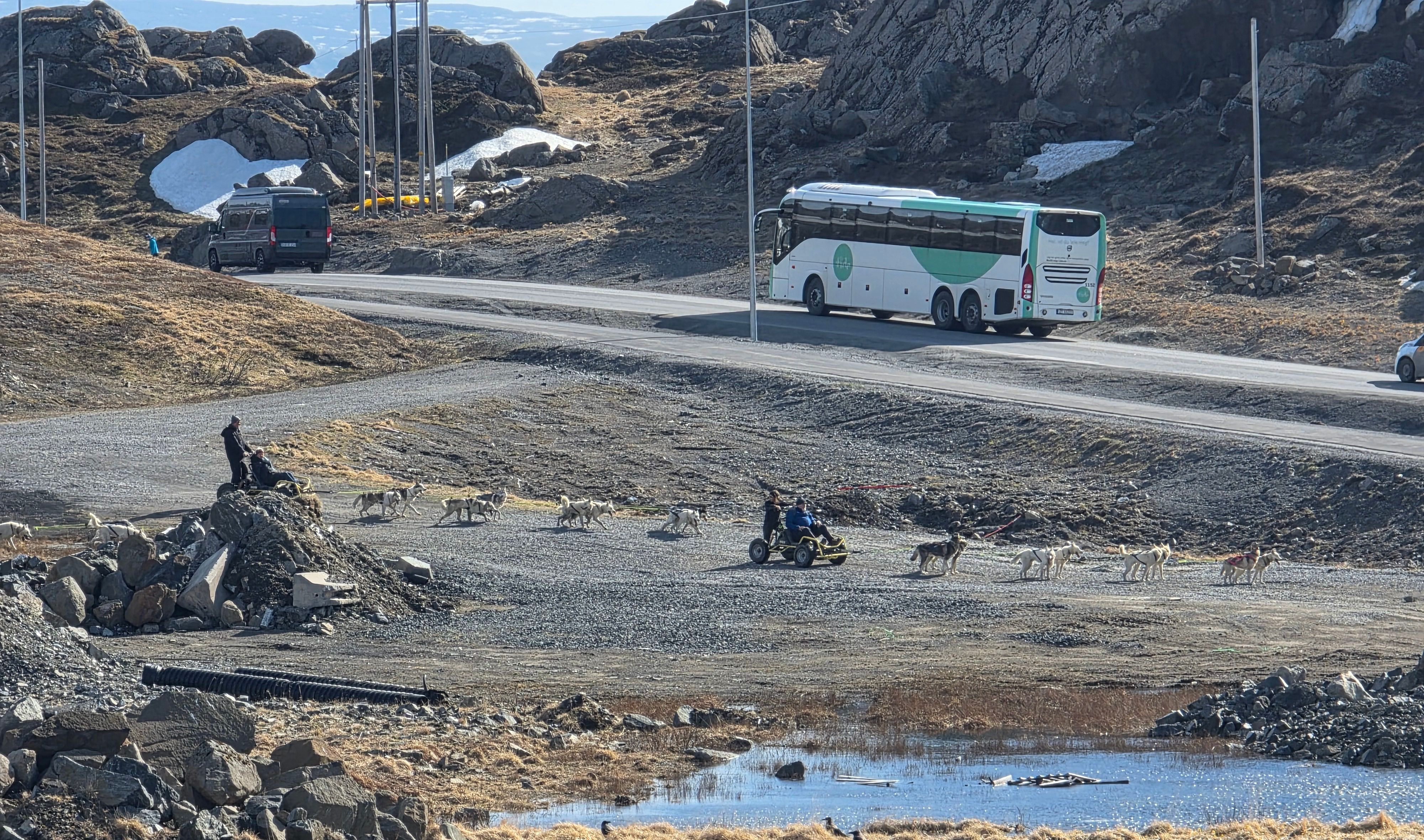 Guests drive wheeled dogsleds pulled by teams of huskies across a rugged Arctic base, with rocky hills, patches of snow, and tour vehicles in the background.