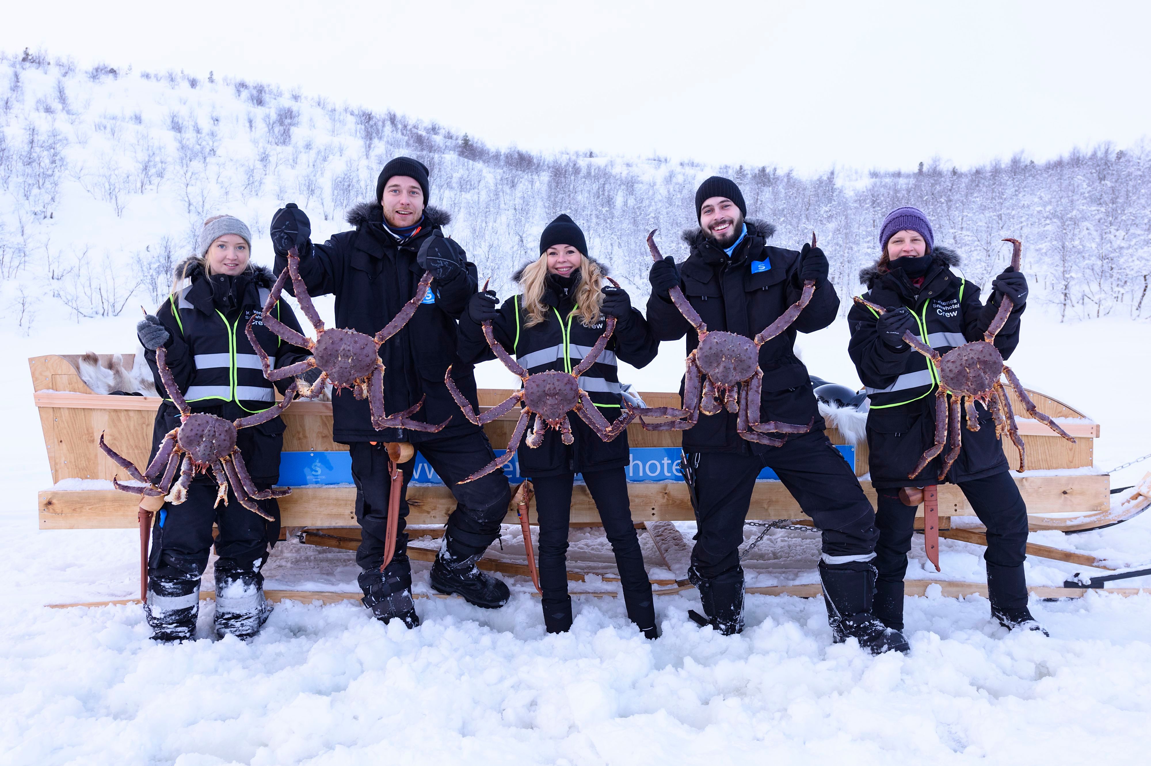 Gjester som stolt holder nyfangede kongekrabber under en vinterlig kongekrabbesafari i Kirkenes, Norge.