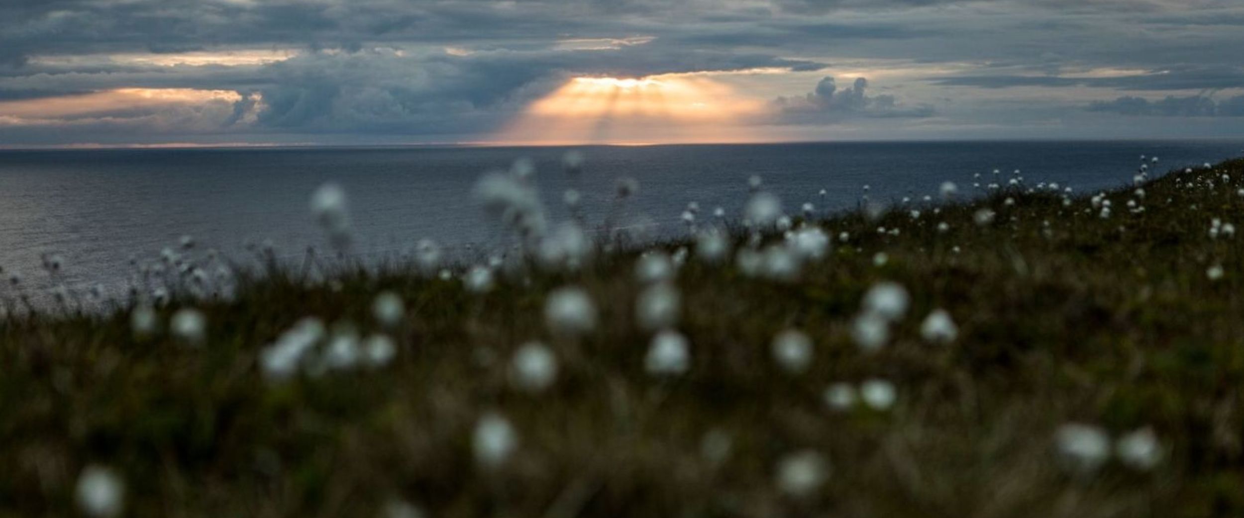 Endloses arktisches Sommerlicht, das die Küstenlandschaft Nordnorwegens erhellt.