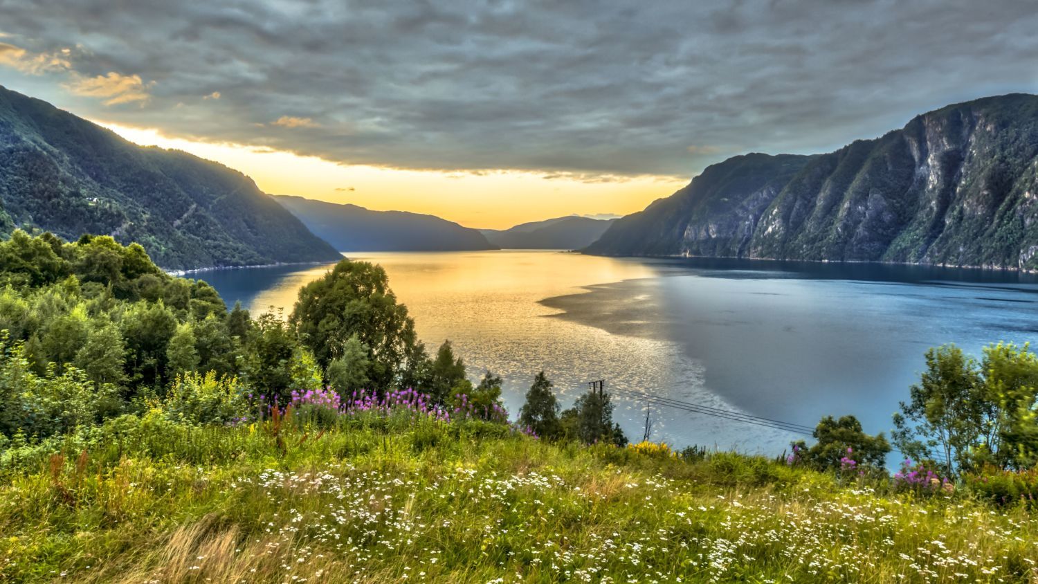 Panoramablick auf einen norwegischen Fjord bei Sonnenuntergang, umgeben von üppig grünen Bergen, Wildblumen und ruhigem, spiegelndem Wasser.