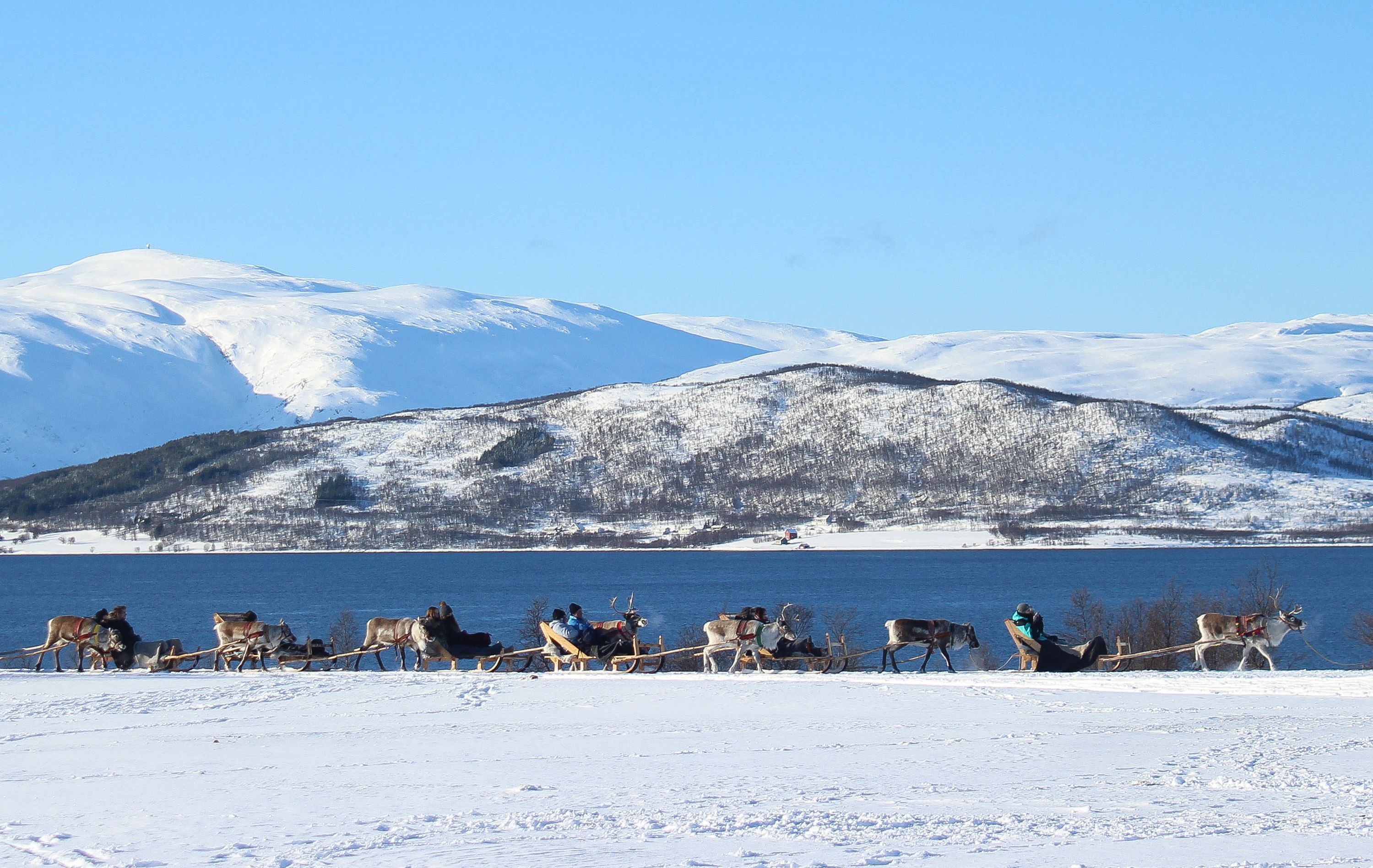 Guests enjoy a traditional reindeer sleigh ride through the snowy Arctic landscape in Northern Norway.