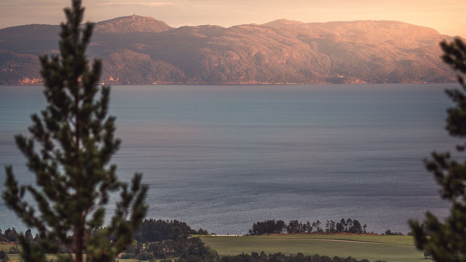 Panoramablick auf den Trondheimsfjord in Trøndelag, Norwegen, mit ruhigem blauen Wasser, bewaldeten Hügeln und Ackerland, das vom warmen Abendlicht beleuchtet wird.