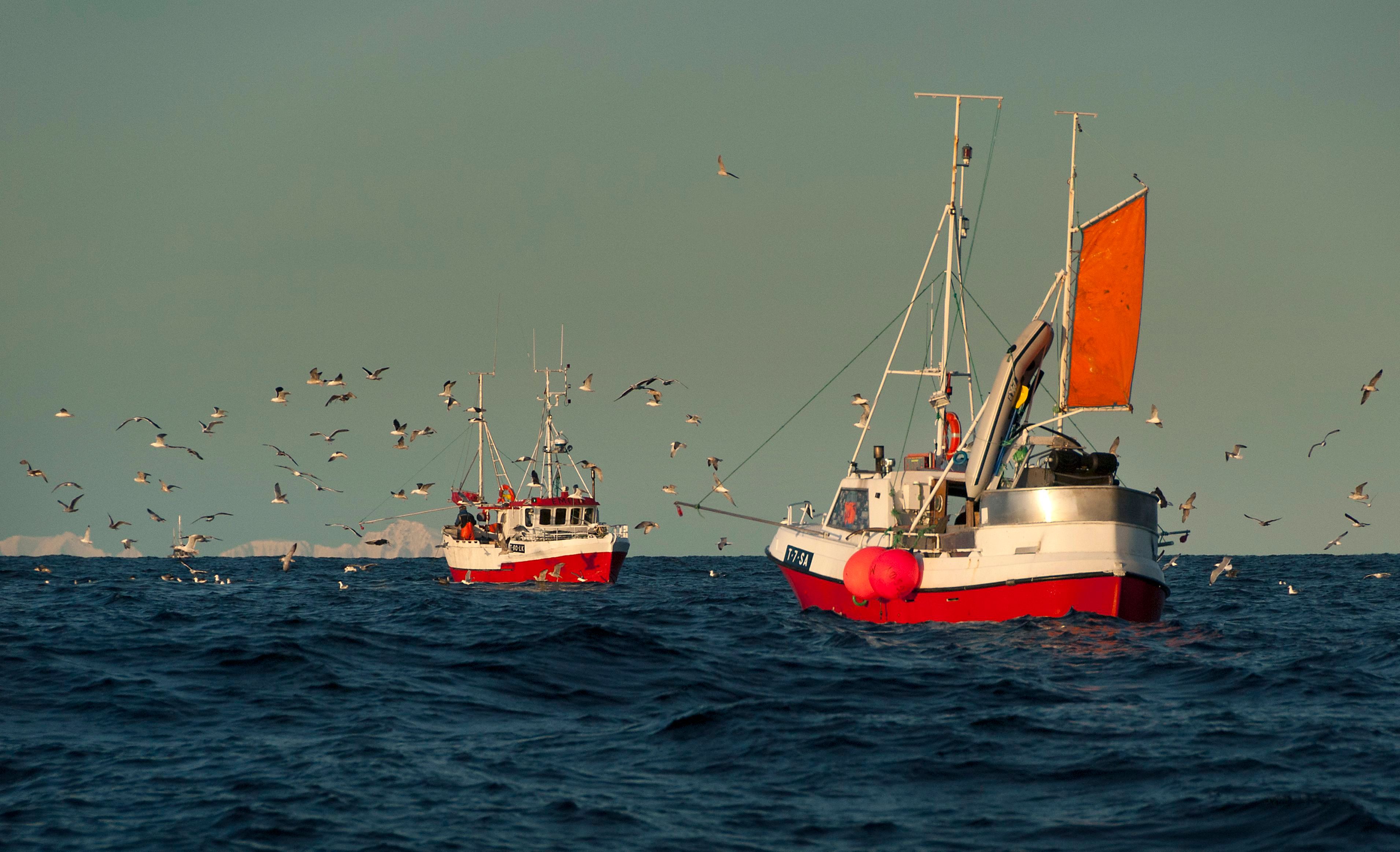 Traditionelle Fischerboote, die entlang der malerischen Küsteninseln Norwegens vor Anker liegen.