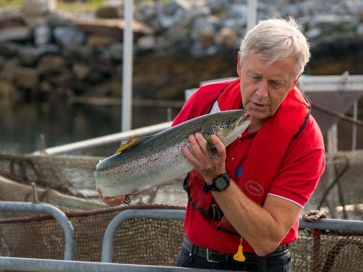 A salmon farm guide holding a salmon beside the fish pens at a Norwegian aquaculture facility.