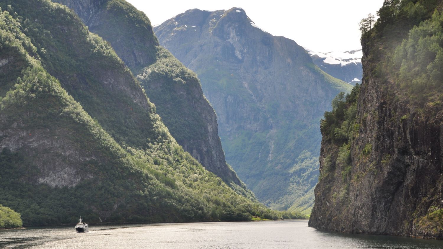 Kleines Kreuzfahrtschiff, das durch den Nærøyfjord fährt, umgeben von steilen Klippen, üppig grünen Bergen und dramatischer Landschaft im UNESCO-Weltnaturerbe-Fjord in Westnorwegen.
