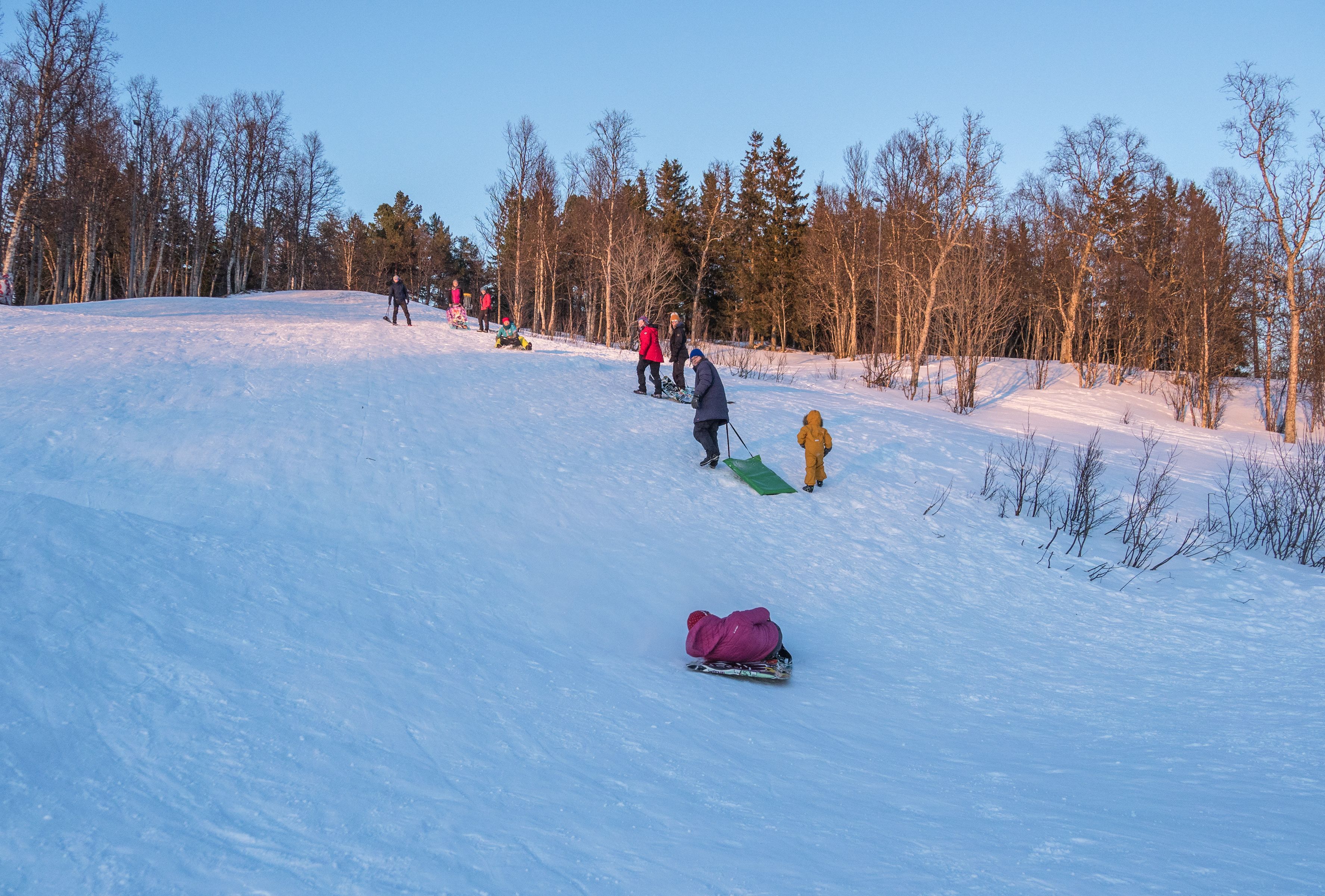 Gäste genießen eine aufregende Schlittenfahrt einen verschneiten Hügel hinab während einer geführten arktischen Schneeschuhwanderung in der Nähe von Tromsø, umgeben von einer friedlichen Winterwaldlandschaft.