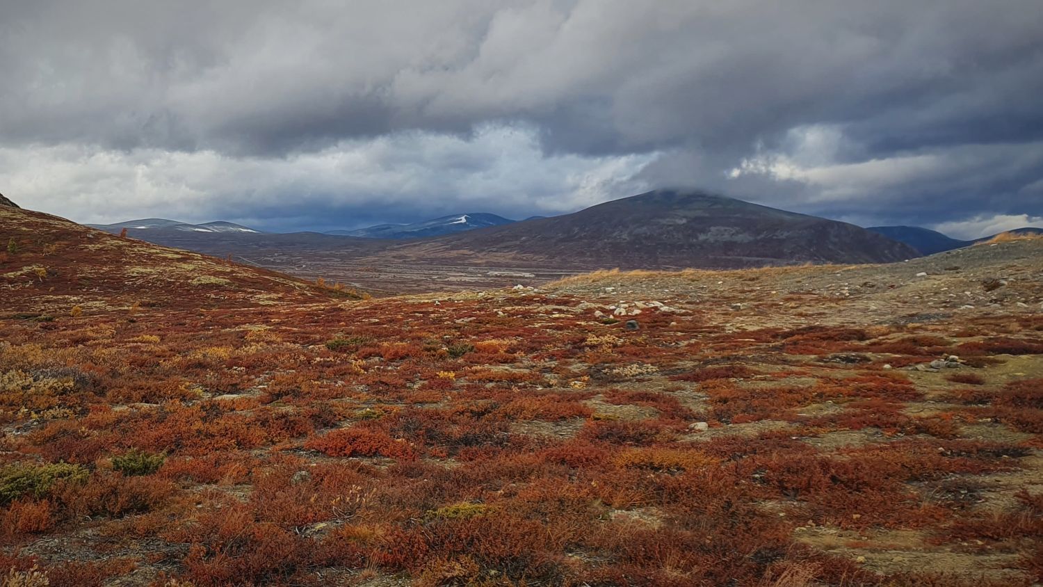 Herbstliche Bergtundra im norwegischen Hochland mit sanften Hügeln, zerklüfteten Gipfeln und dramatischen Sturmwolken am Himmel.