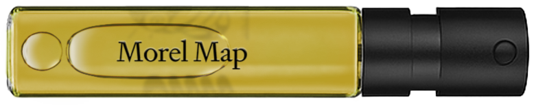 Morel Map