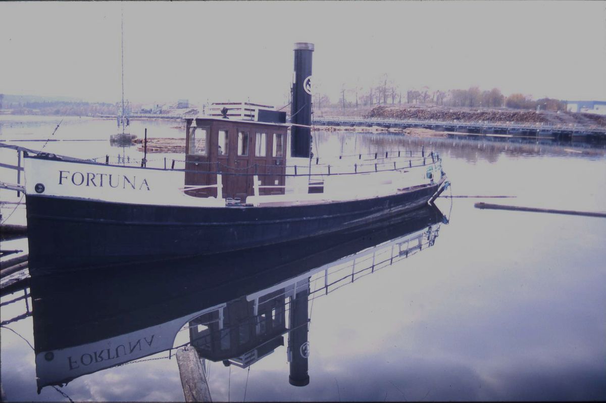 Fortuna
