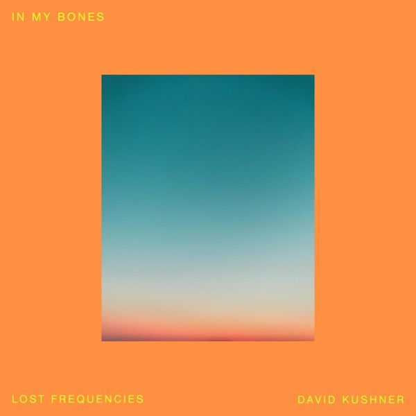 In My Bones by Lost Frequencies, David Kushner