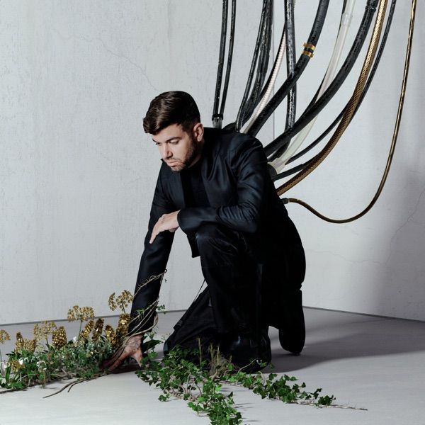 Syren (Amelie Lens Remix) by Anyma, Rebūke