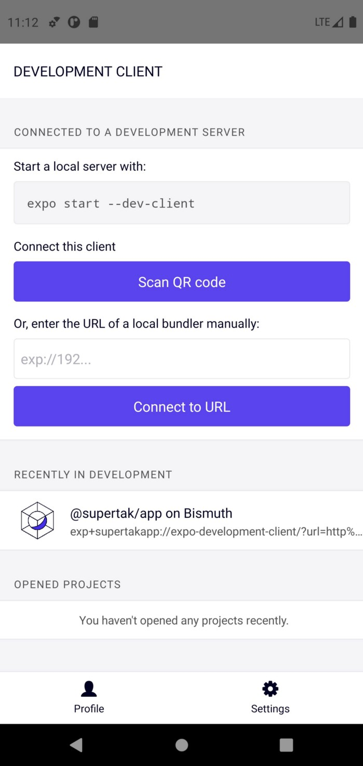The Expo Custom Development Client launch screen